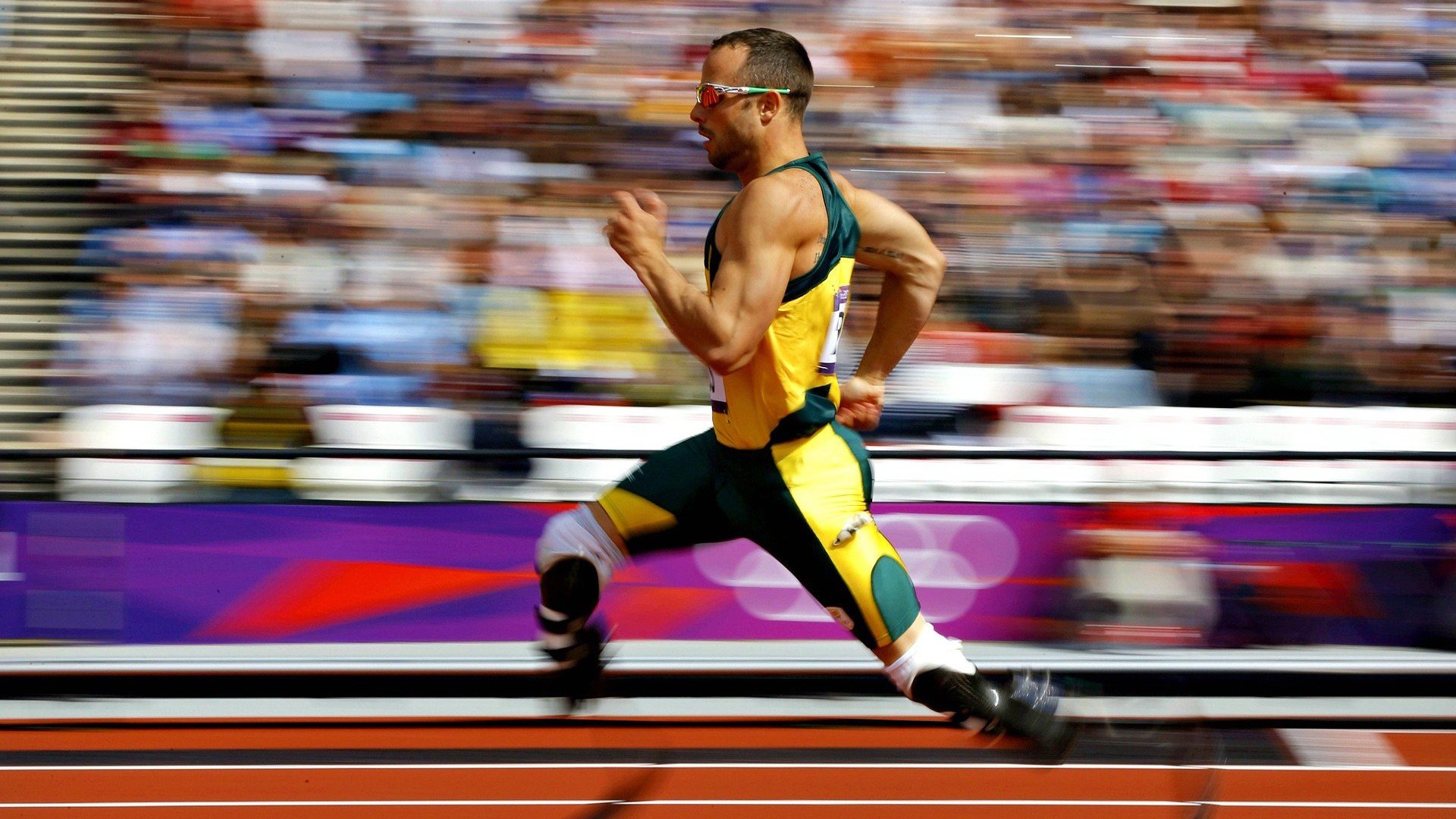 球迷区无障碍改造完成，残障观众观赛体验优化，什么叫无障碍观赛