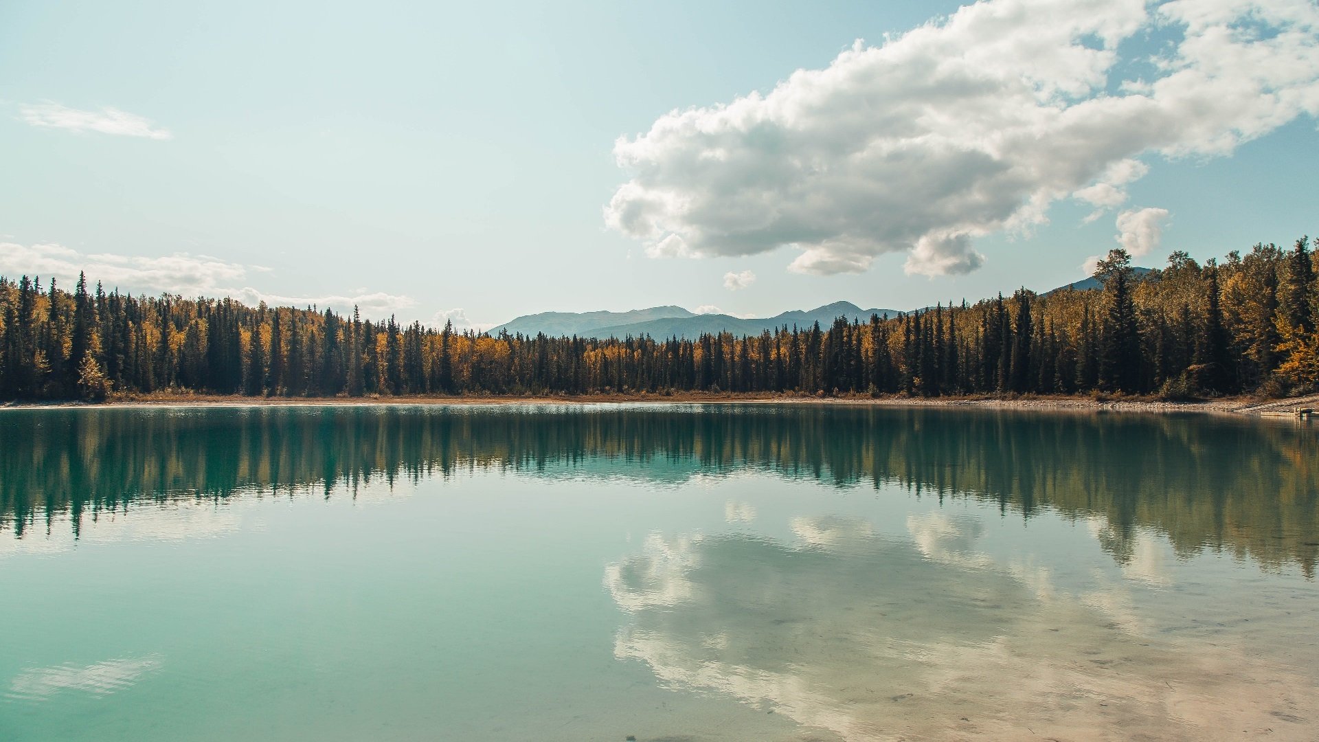 开云体育网站入口-“中国女足在国际赛场不断突破，迈向更高目标”，女足国足