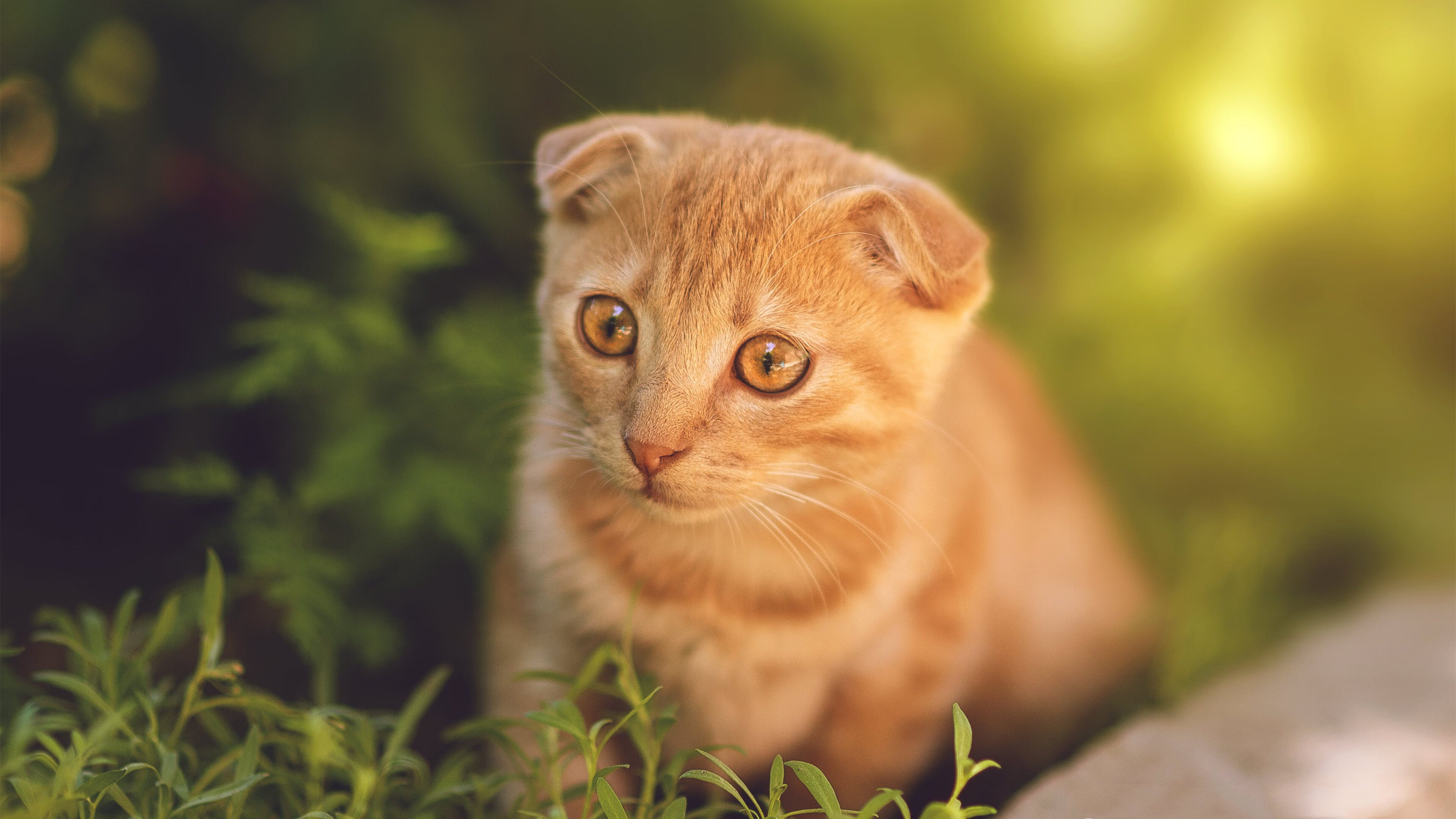 Kering-国际拳击锦标赛中国队斩获多金，展现强大实力，国际拳击比赛